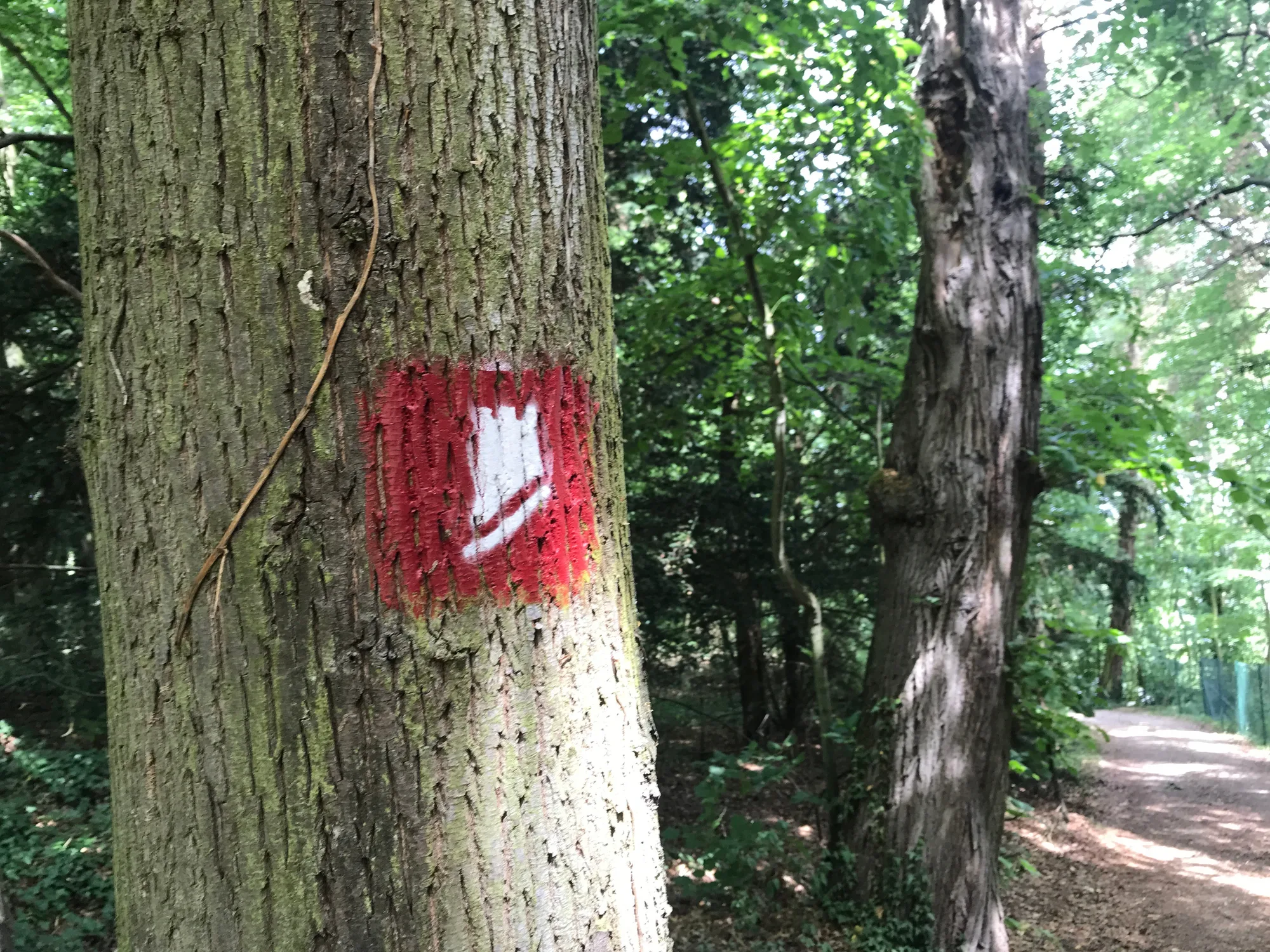 RHEIN-BURGEN-WEG 1/2