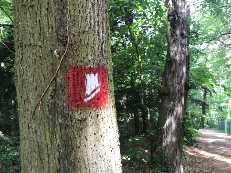 RHEIN-BURGEN-WEG 1/2