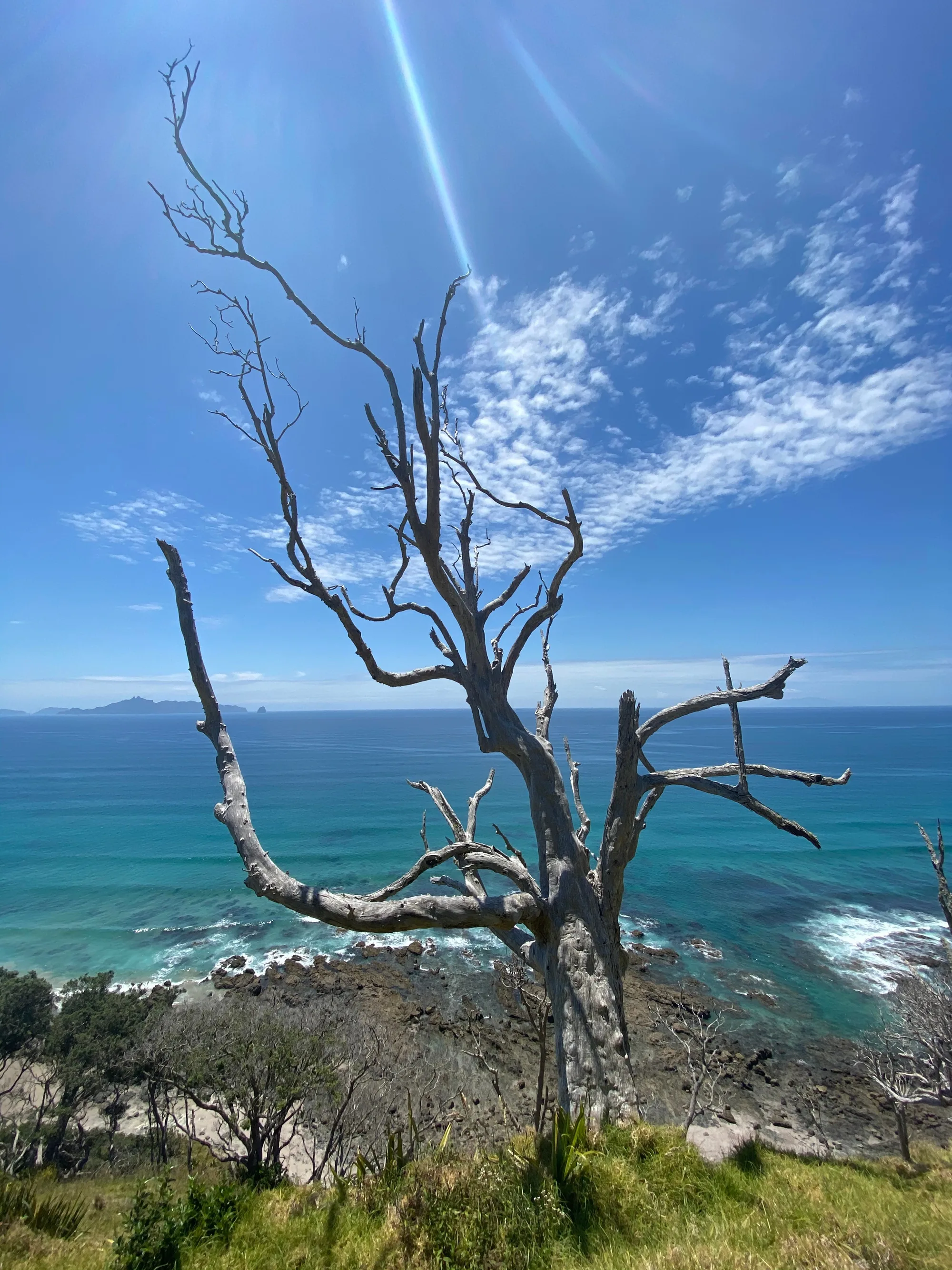WAIPU COVE TO AUCKLAND