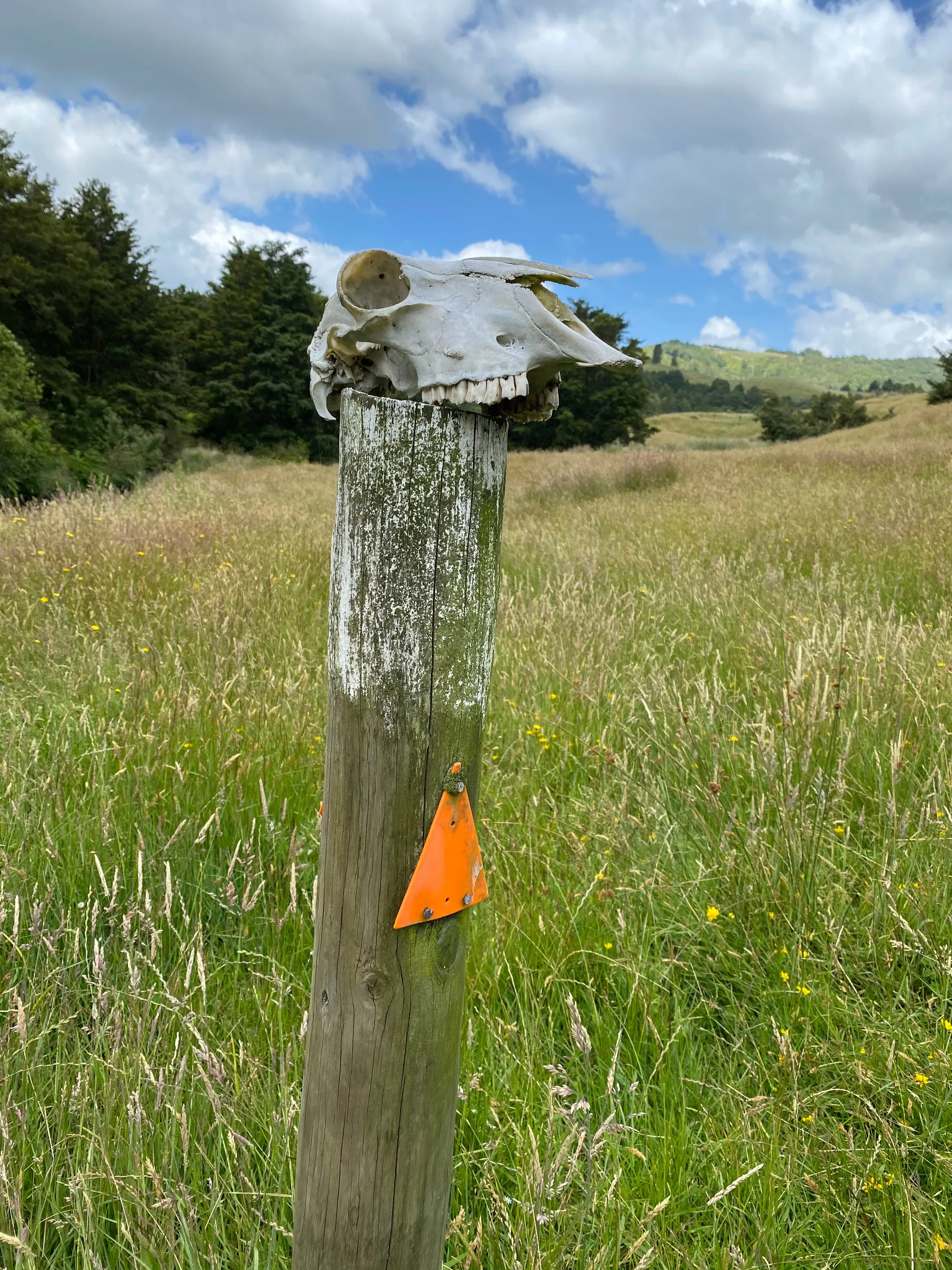 Hamilton to Te Kuiti